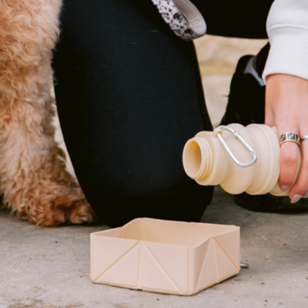 Cocopup London - Foldable Travel Bowl - Nude