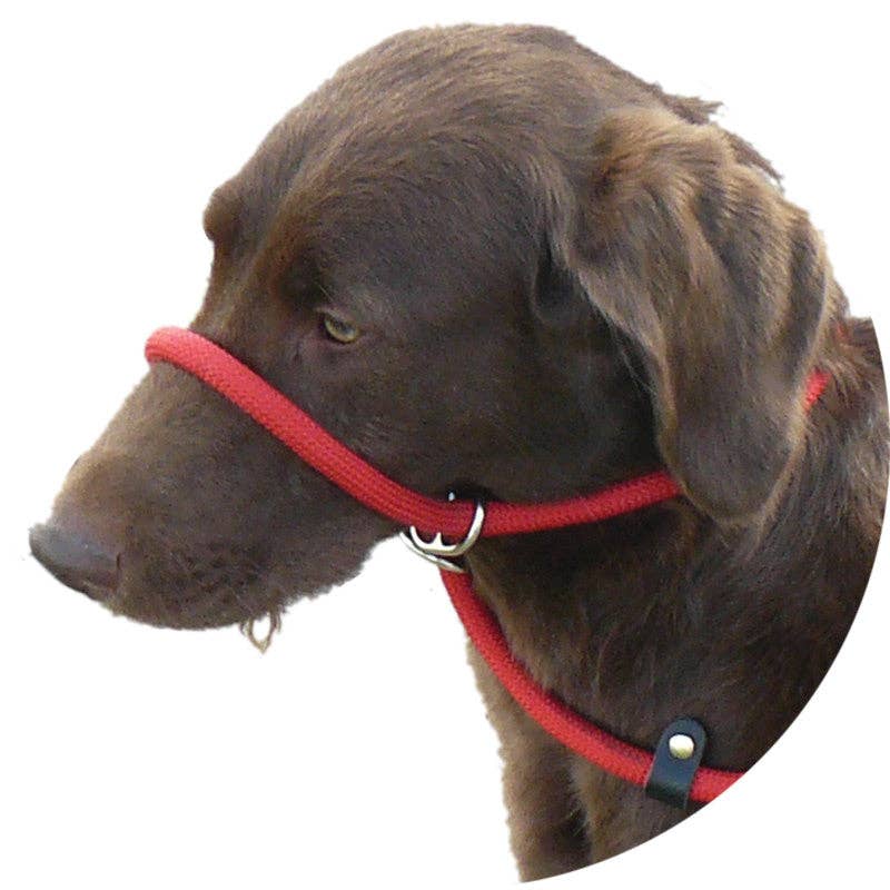 Miro & Makauri - Dog Slip Lead w Figure 8 Training Aid by Miro & Makauri "RUBBER HANDLE GRIP"