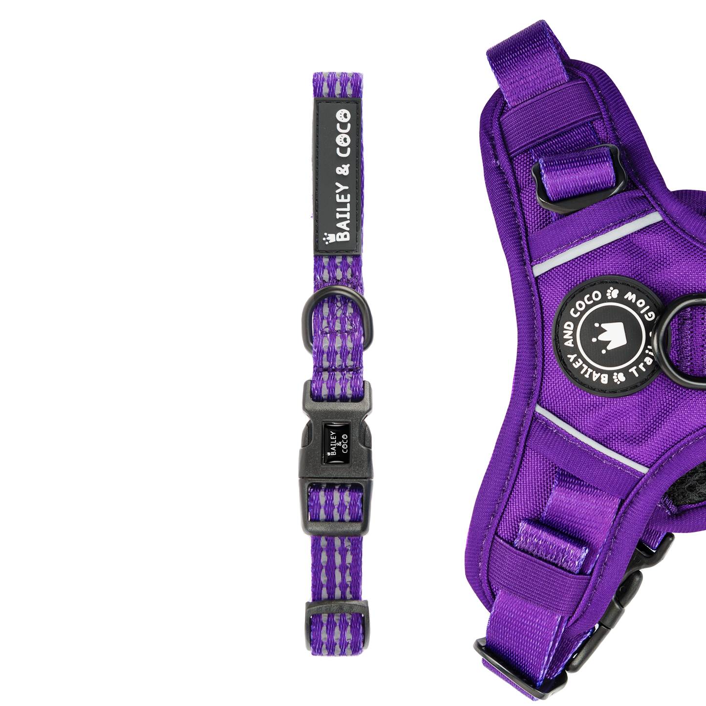 Bailey and Coco - Trail & Glow® Collar - The Royal Purple One