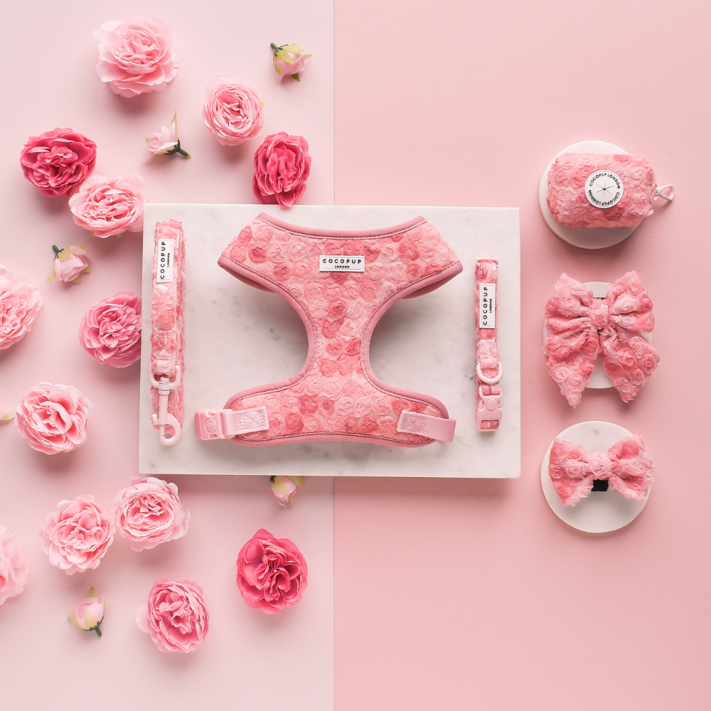 Cocopup London - Peony Pup Lead