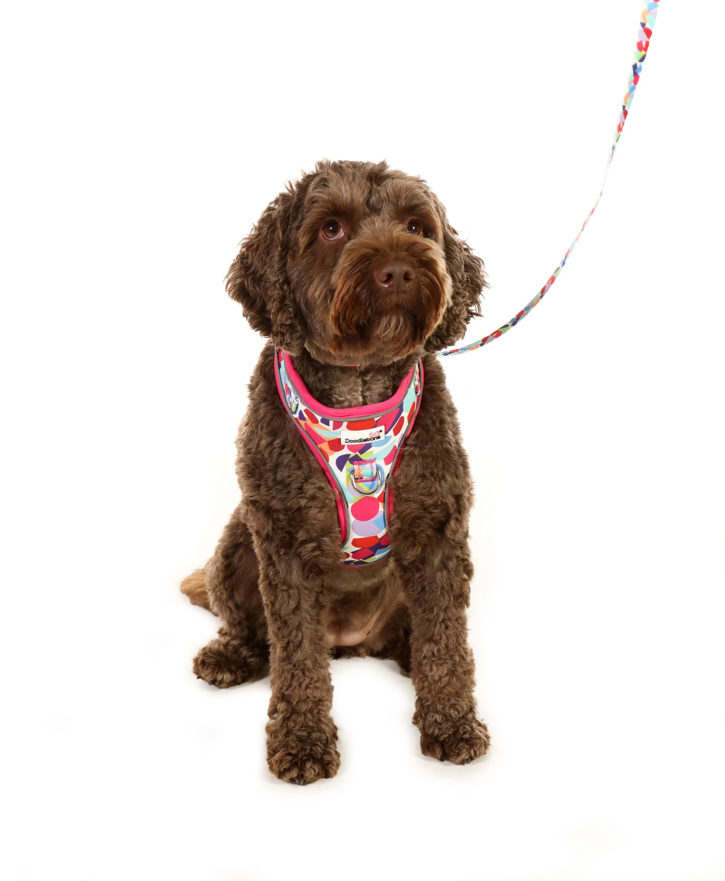 Doodlebone - Adjustable Airmesh Dog Harness