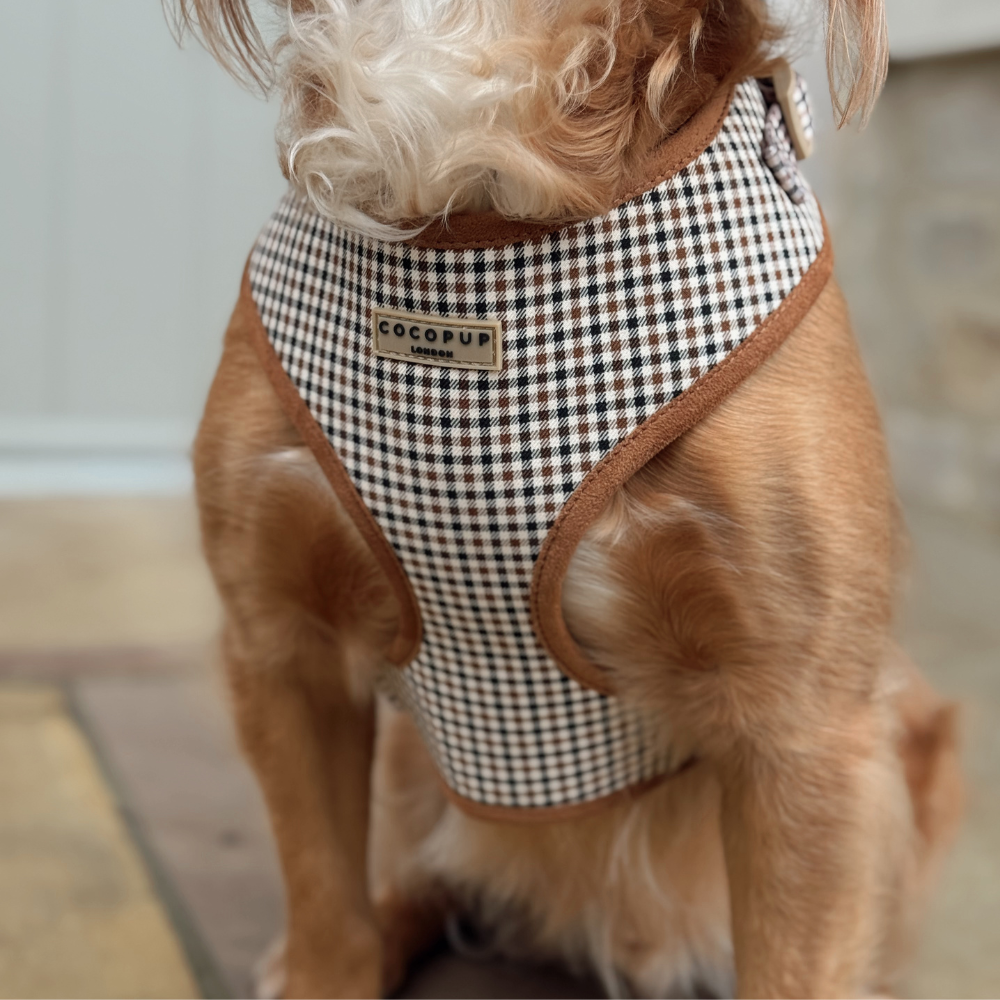 Cocopup London - Heritage Check Adjustable Neck HARNESS