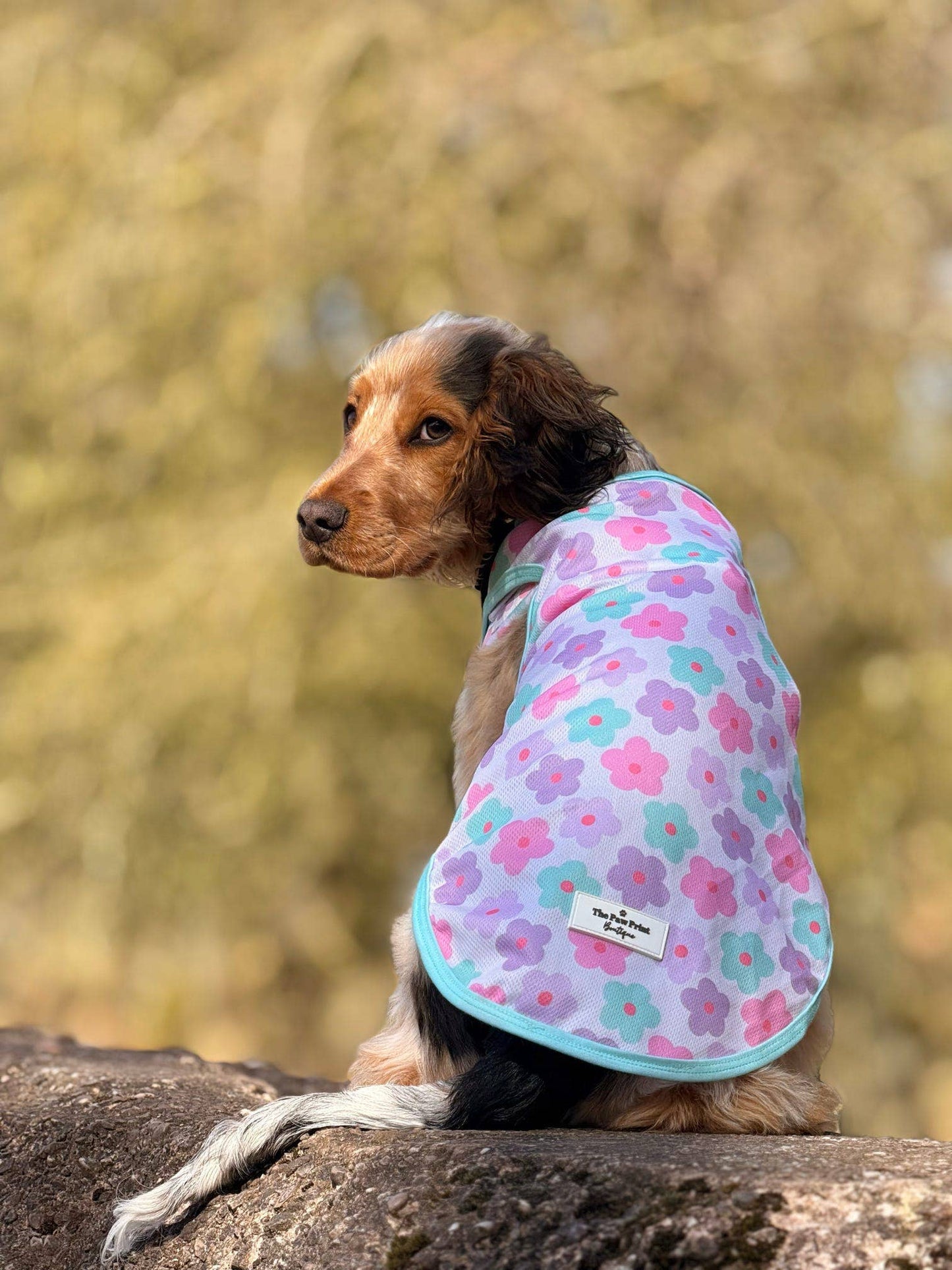 The Paw Print Boutique - The Minty Meadows / Flower Power Cooling Vest