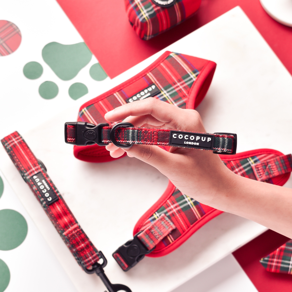 Cocopup London - Tartan COLLAR