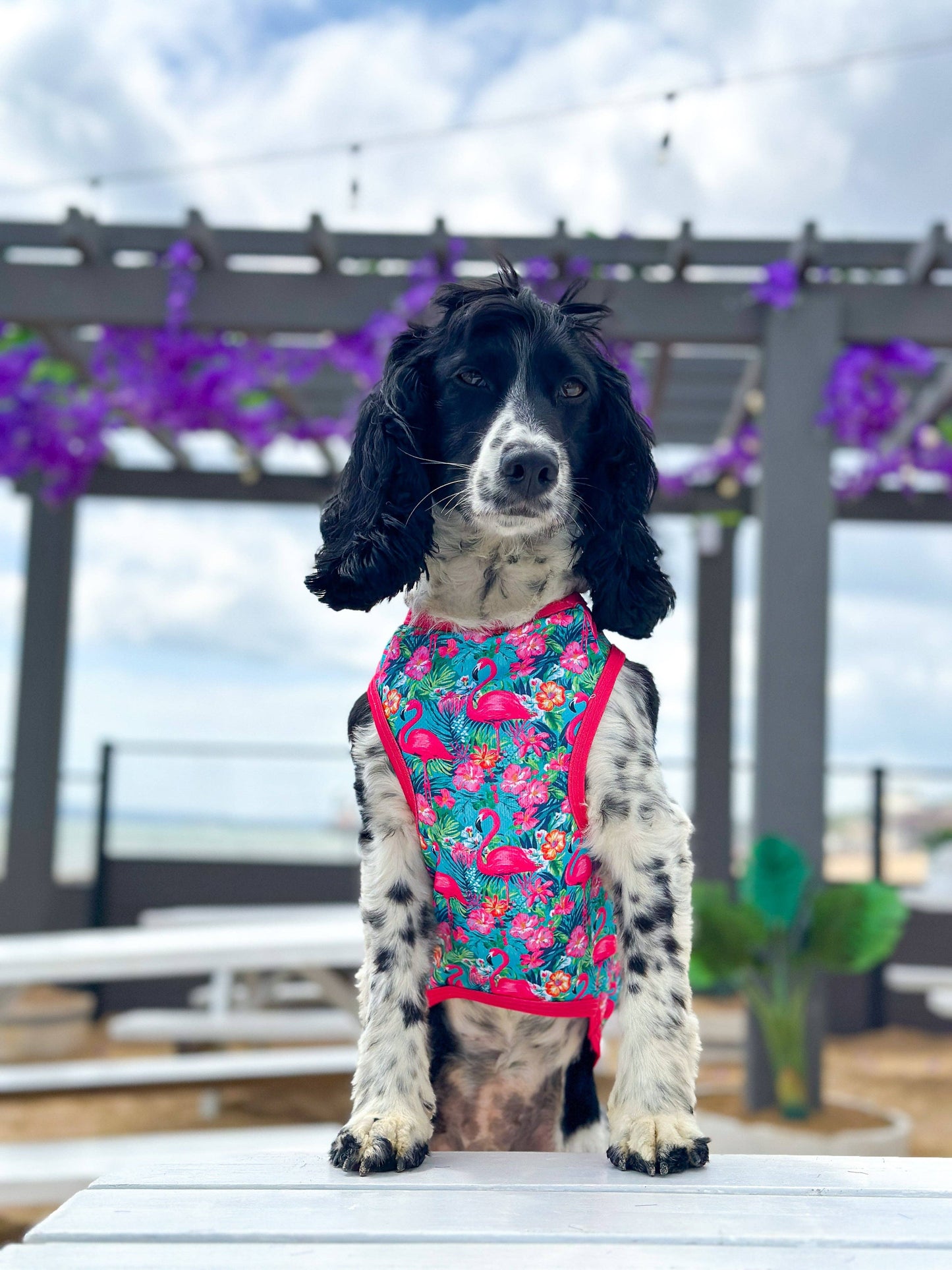 The Paw Print Boutique - The Tropical Pawradise Cooling Vest