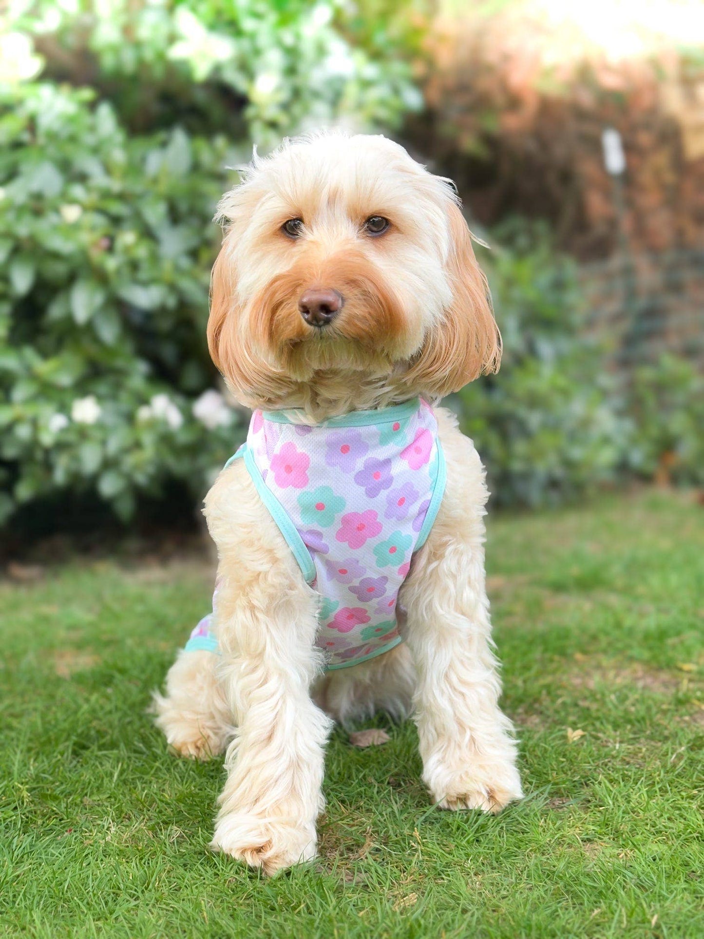 The Paw Print Boutique - The Minty Meadows / Flower Power Cooling Vest