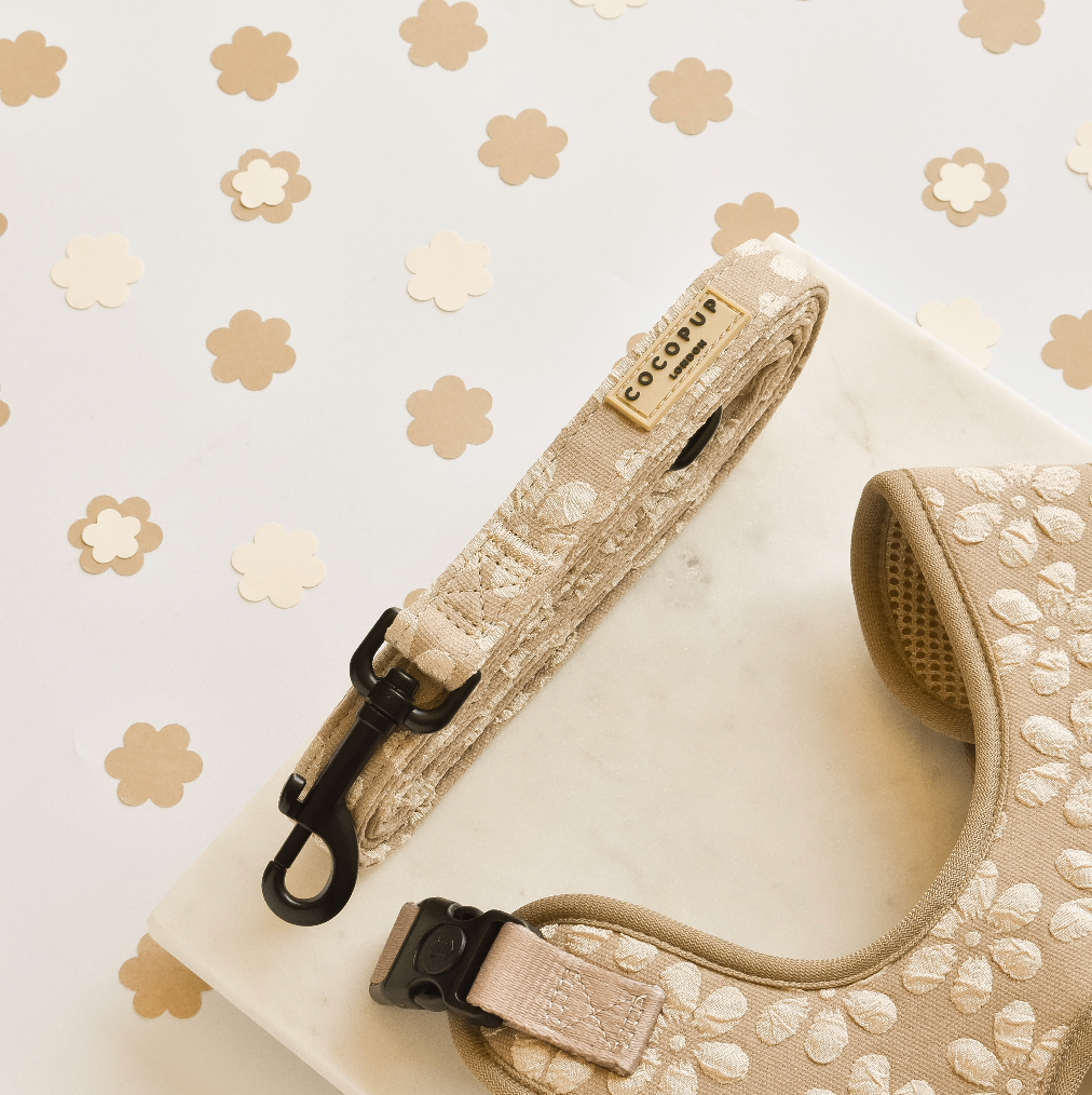 Cocopup London - LUXE Lead - Mocha Flower