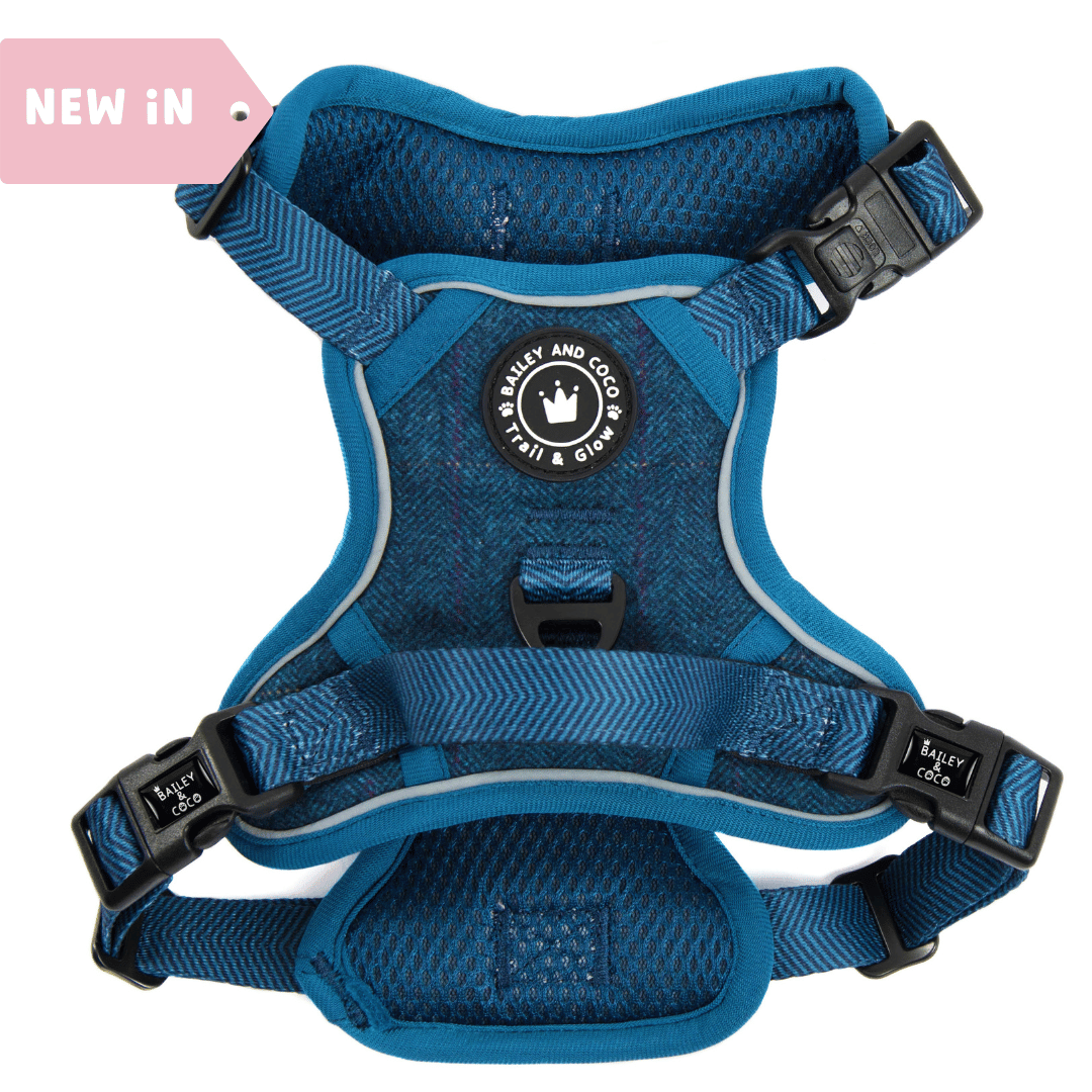 Bailey and Coco - Trail & Glow Tweed Dog Harness - Sapphire Tweed