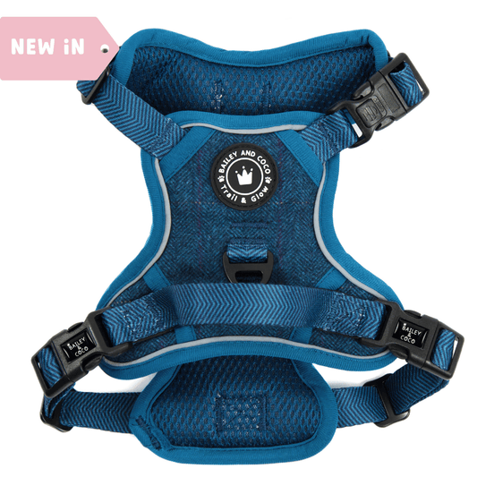Bailey and Coco - Trail & Glow Tweed Dog Harness - Sapphire Tweed