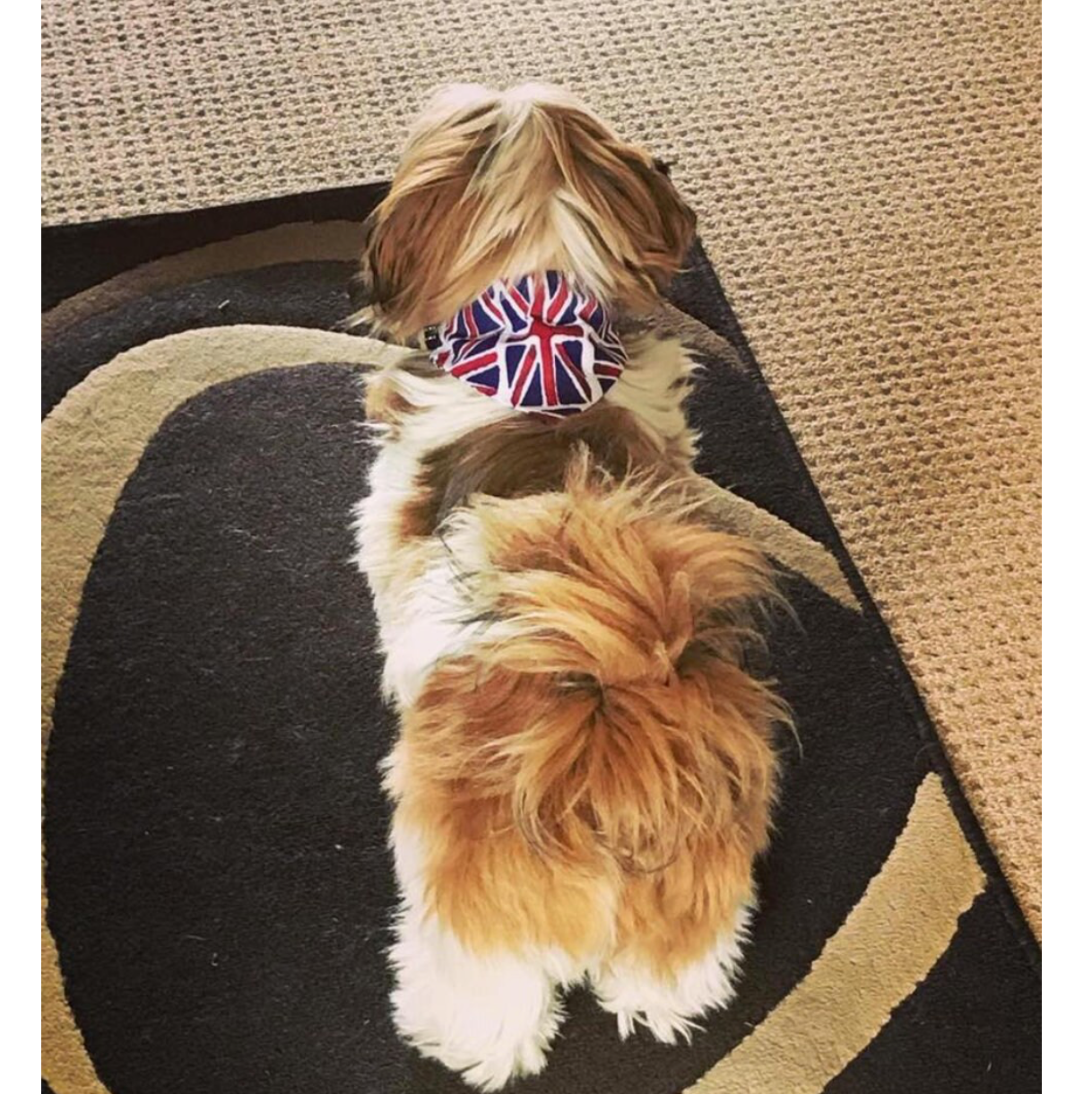 Storms Style - Union Flag Bandanas