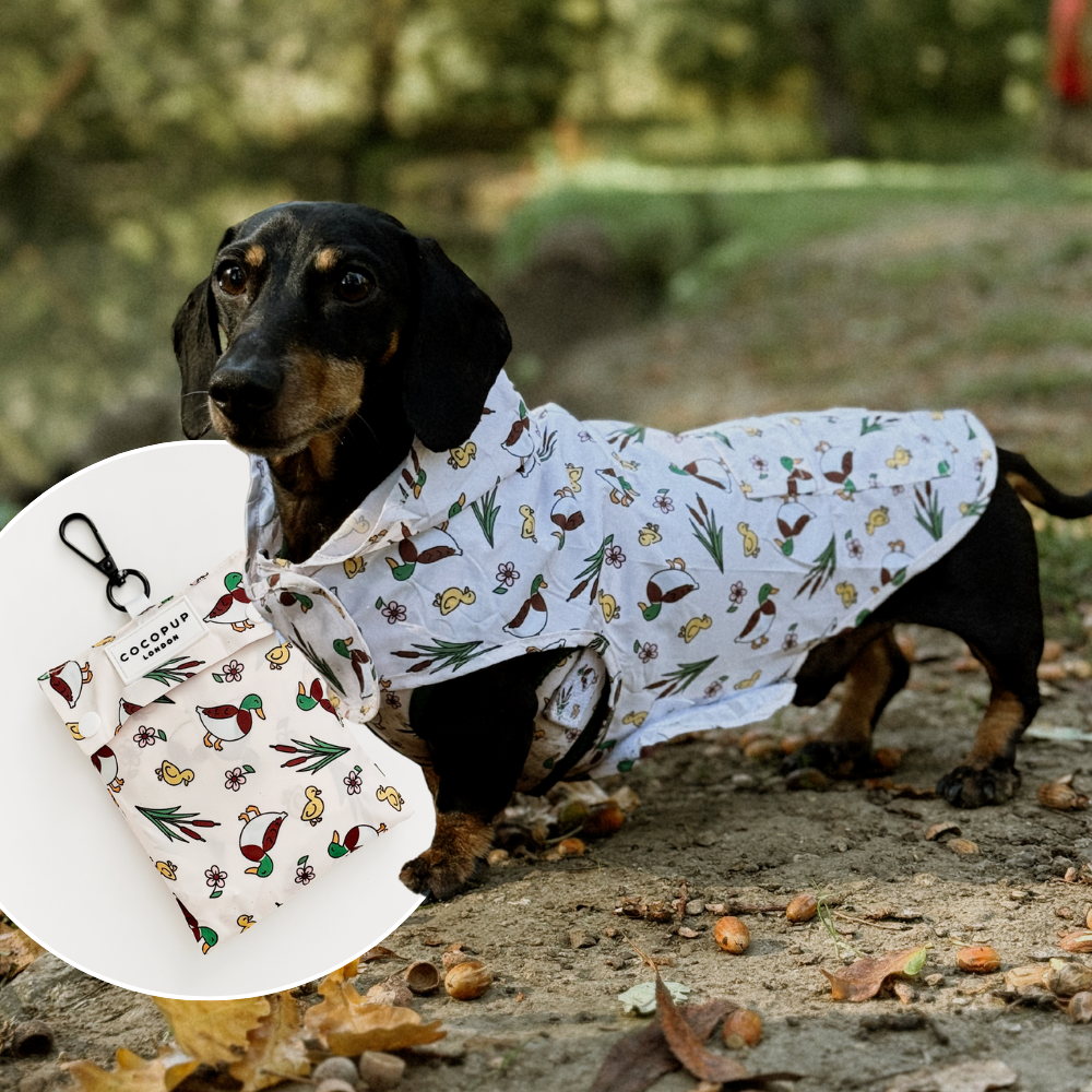 Cocopup London - Dog Raincoat - Puddle Pup