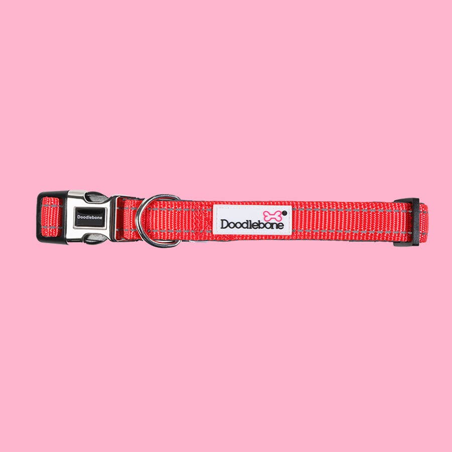 Doodlebone - Padded Dog Collar
