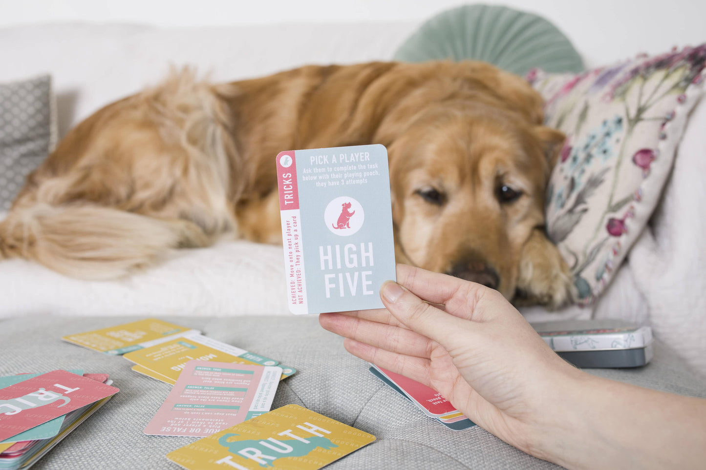 10 Tricks & Trivia Card Games in Display Unit | Dog Gifts