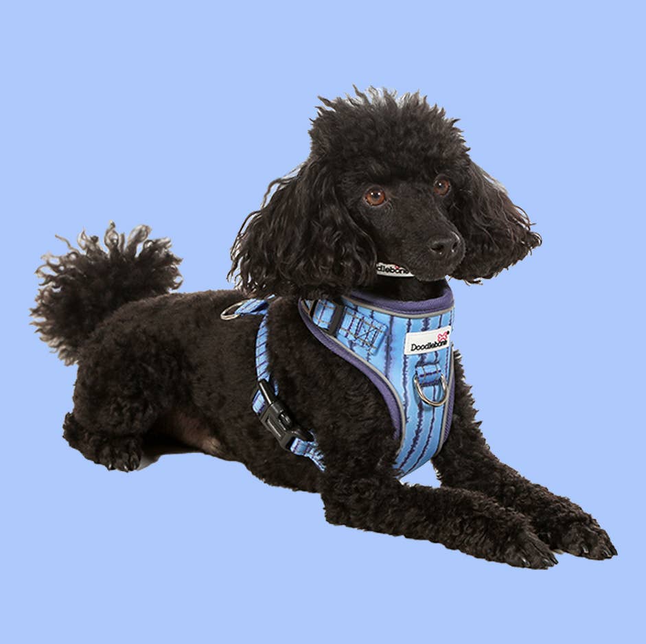Doodlebone - Adjustable Airmesh Dog Harness