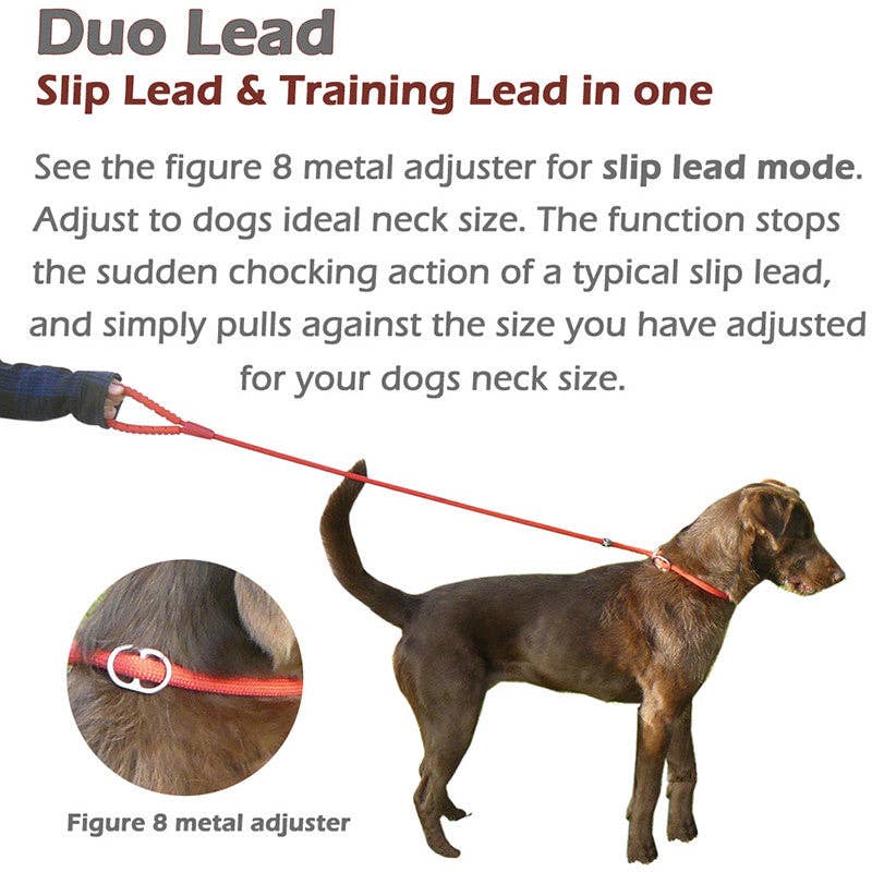 Miro & Makauri - Dog Slip Lead w Figure 8 Training Aid by Miro & Makauri "RUBBER HANDLE GRIP"