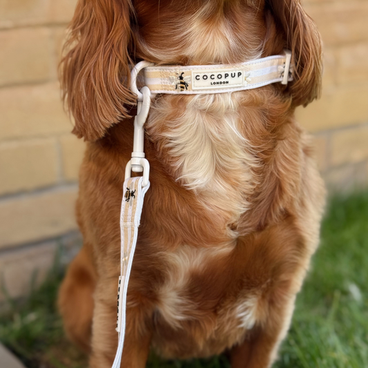 Cocopup London - Honey Meadow COLLAR