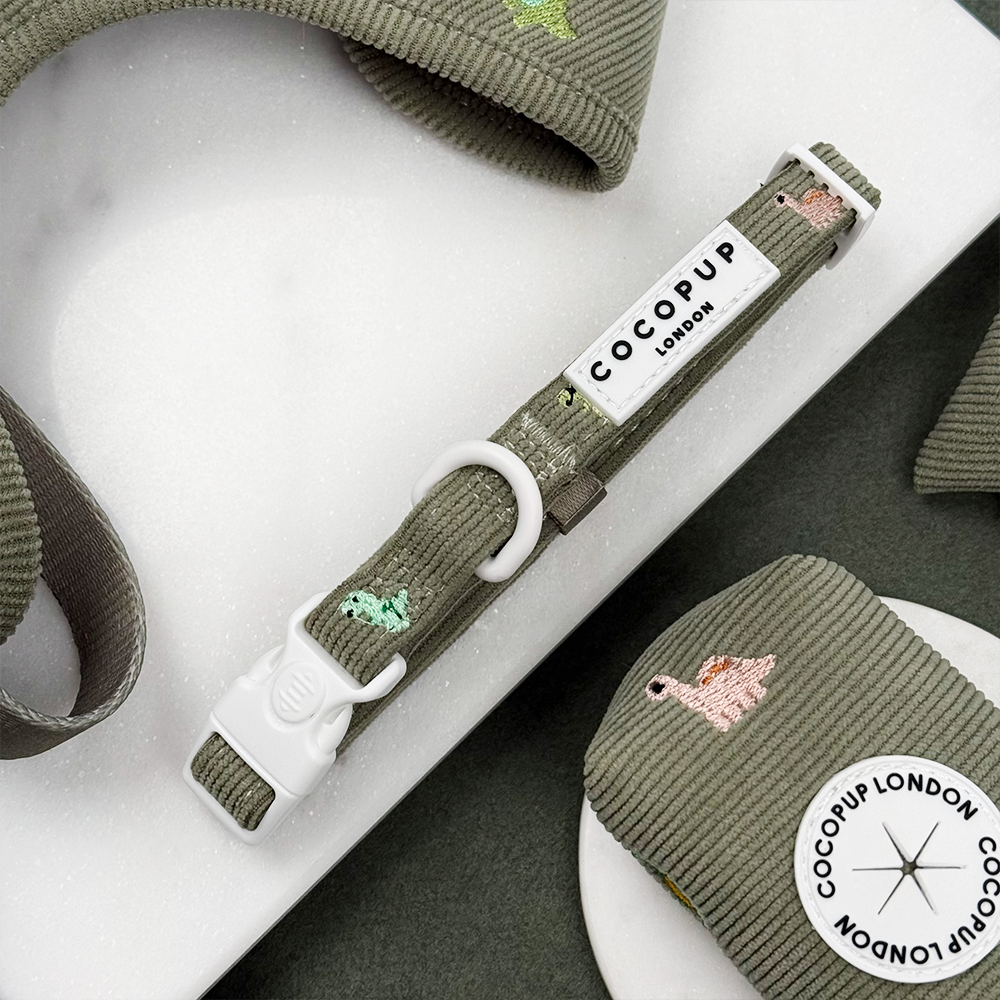 Cocopup London - Dino Doodles COLLAR