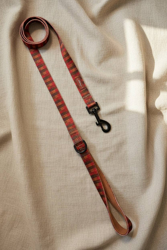 Oh, paw-lease! - Burnham Weave Lead