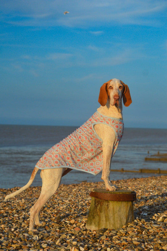 The Paw Print Boutique - She sells Seashells by the YEEHAW Cooling Vest