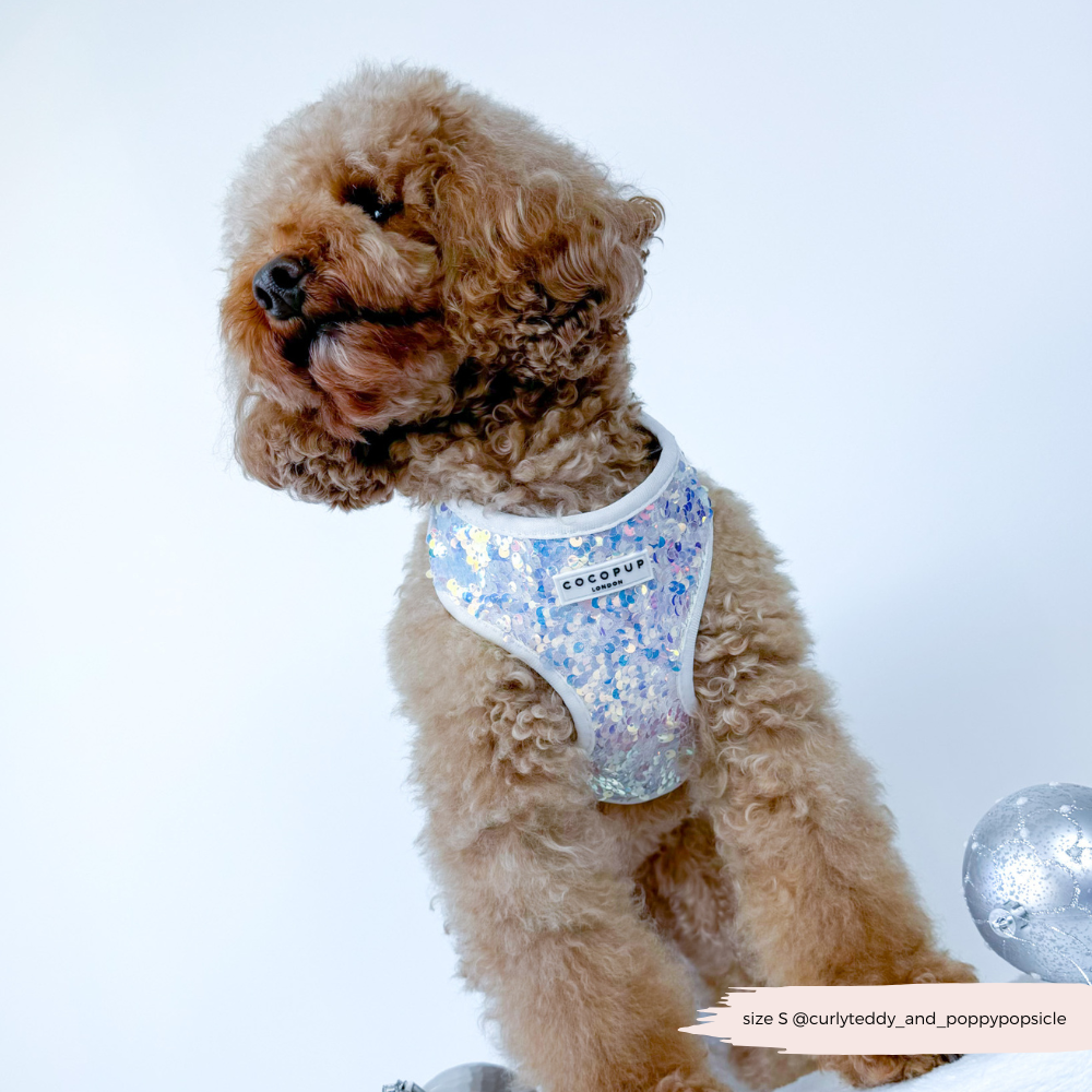Cocopup London - LUXE Party Holographic Sequin HARNESS