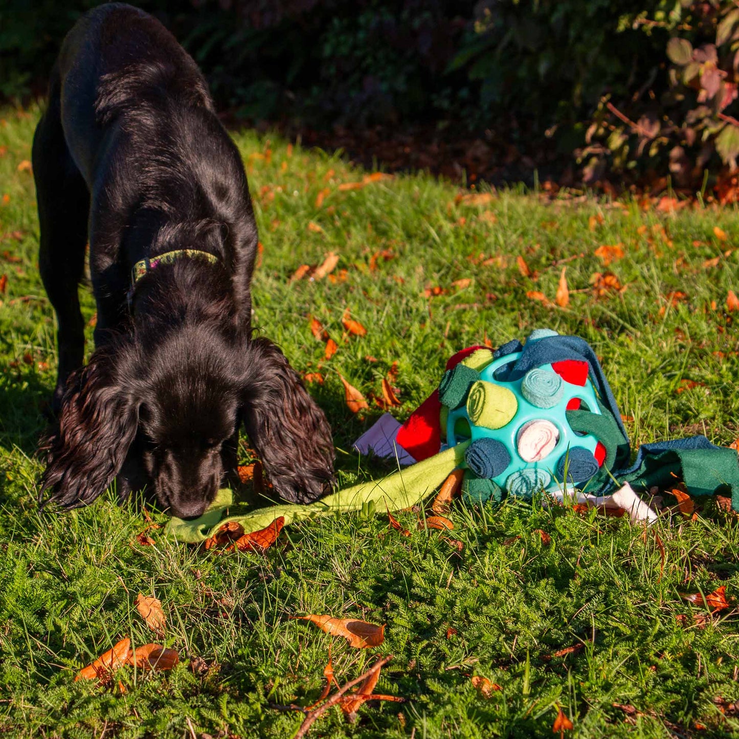 Snuffle Ball- fill with treats and roll