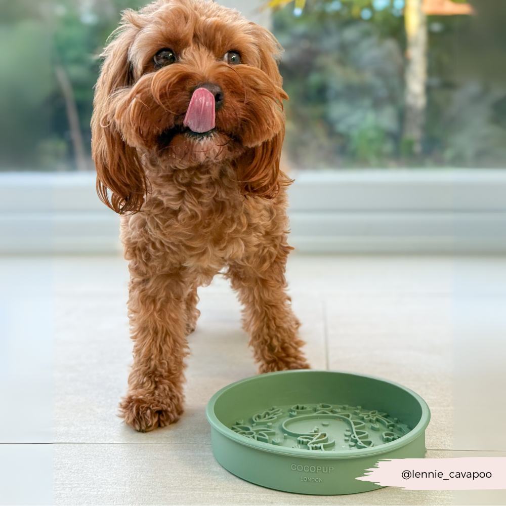 Cocopup London - Silicone Slow Feed Dog Bowl - Dinopaws
