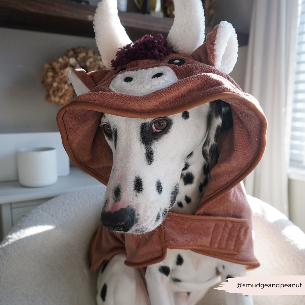 Cocopup London - Harold the Highland Cow Drying Robe