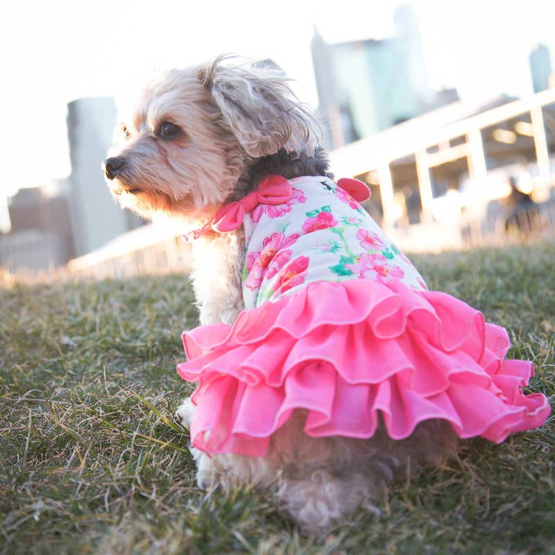 Floral Flounce Dress