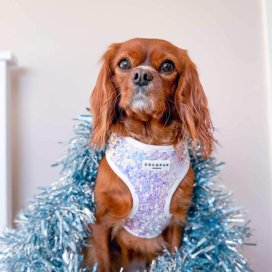 Cocopup London - LUXE Party Holographic Sequin HARNESS