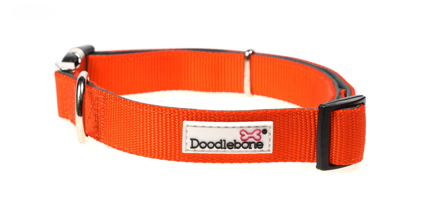 Doodlebone - Padded Dog Collar