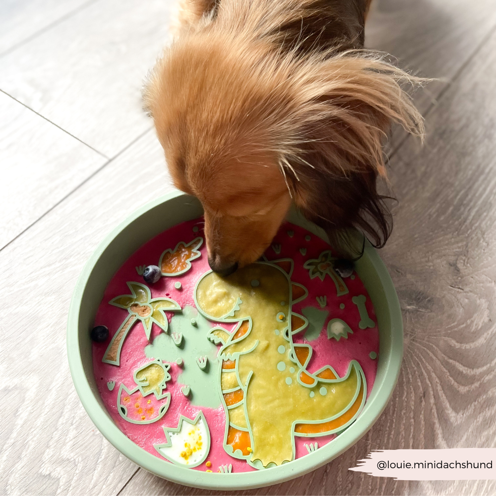 Cocopup London - Silicone Slow Feed Dog Bowl - Dinopaws