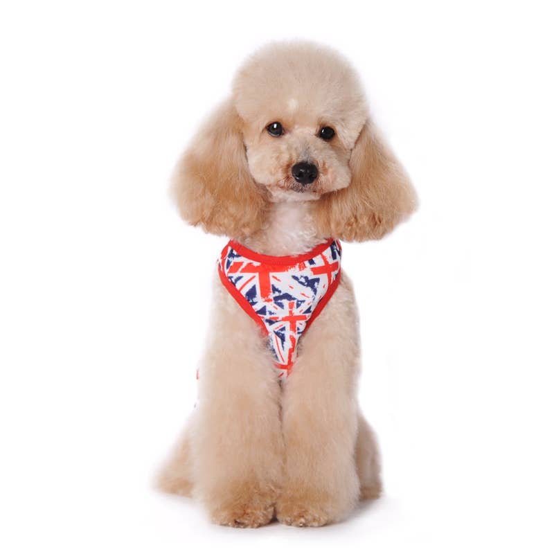 Closed Out Item- PP Union Jack Tank