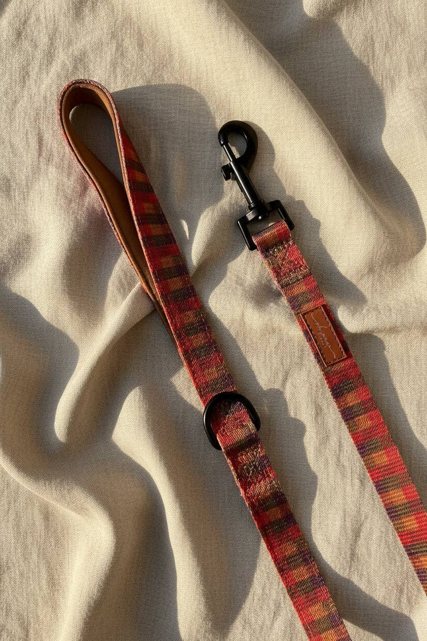 Oh, paw-lease! - Burnham Weave Lead