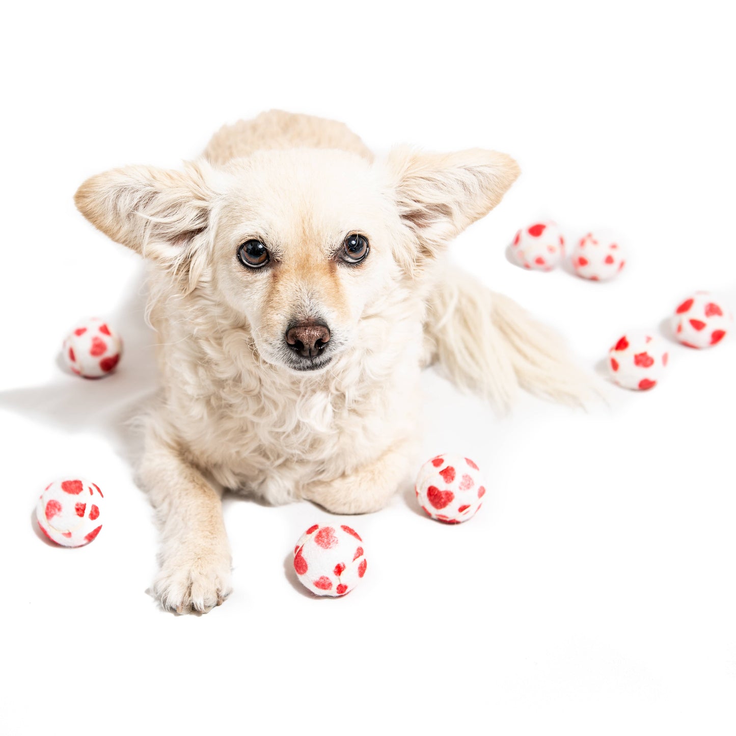 Midlee Designs - Midlee Valentine's Hearts Dog Tennis Balls
