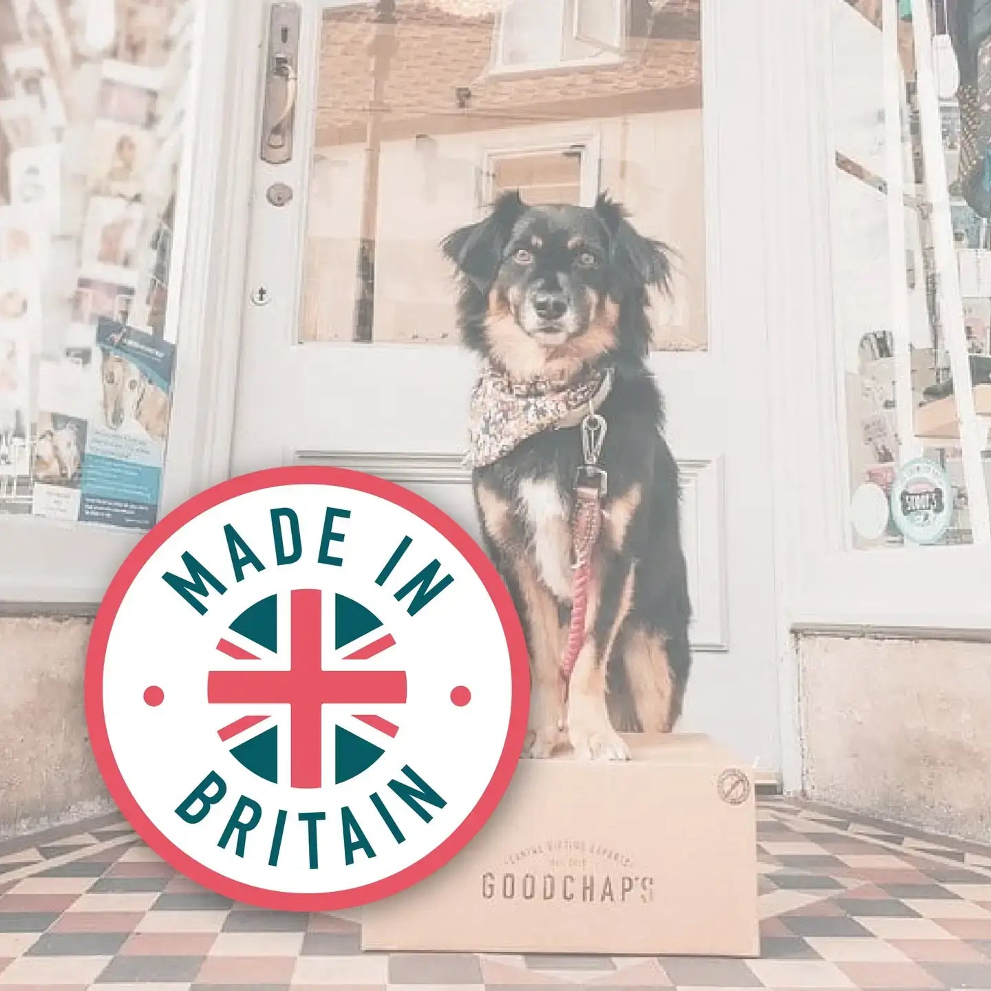 Goodchap's -Poultry Training Treats | Eco friendly Treats | Plastic Free