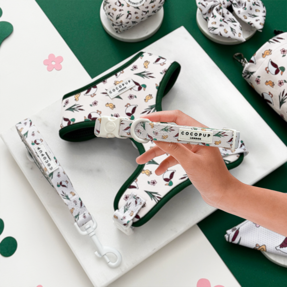 Cocopup London - Puddle Pup Collar
