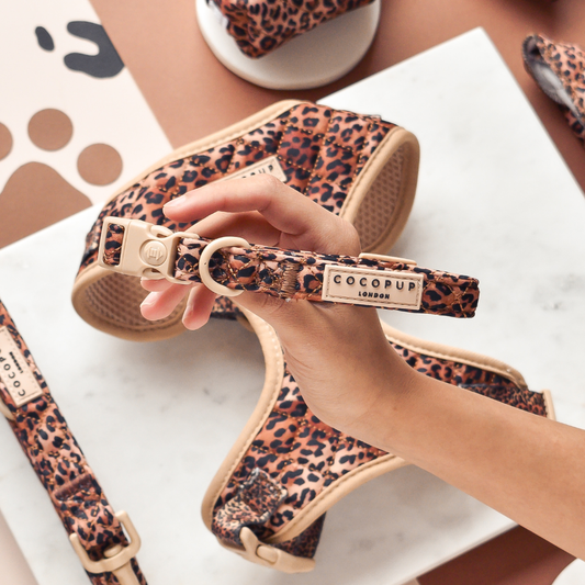 Cocopup London - Quilted Leopard Pup Collar