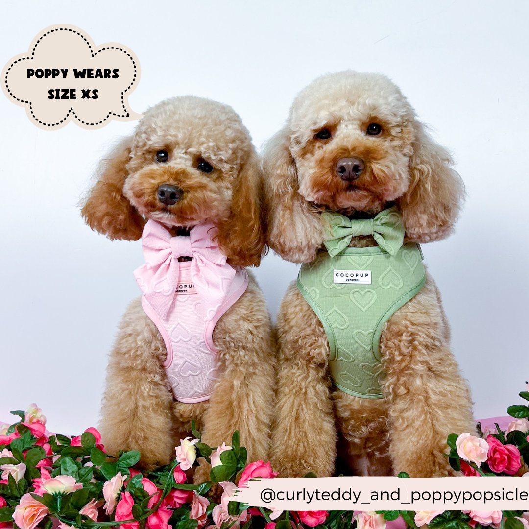 Cocopup London - Luxe Adjustable Neck Harness - Baby Pink Heart