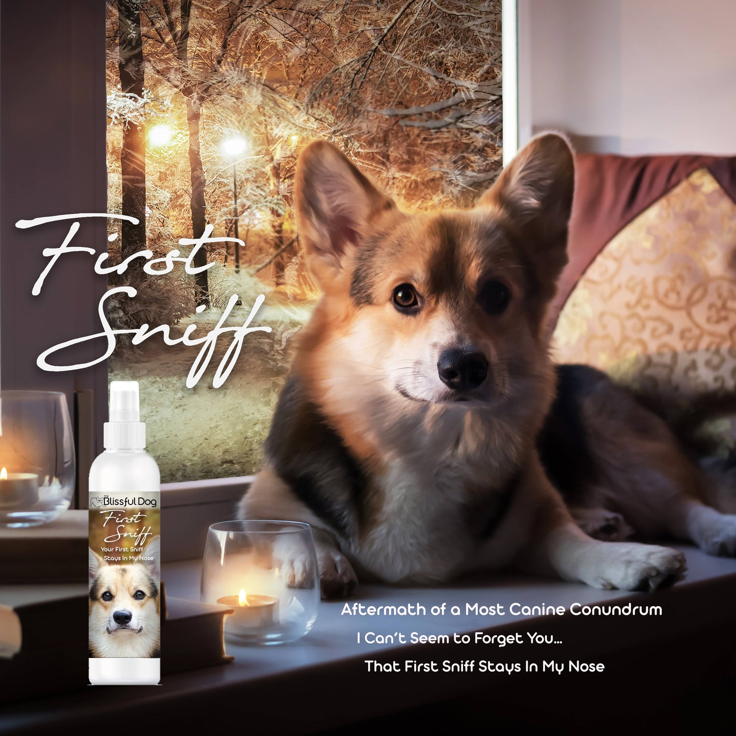 First Sniff Dog Cologne First Sniff Stays on Your Mind