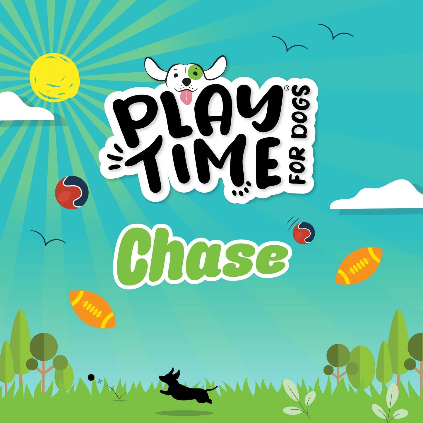 Ancol Pet Products Ltd - Play Time for Dogs Chase Tough Rubber Ball