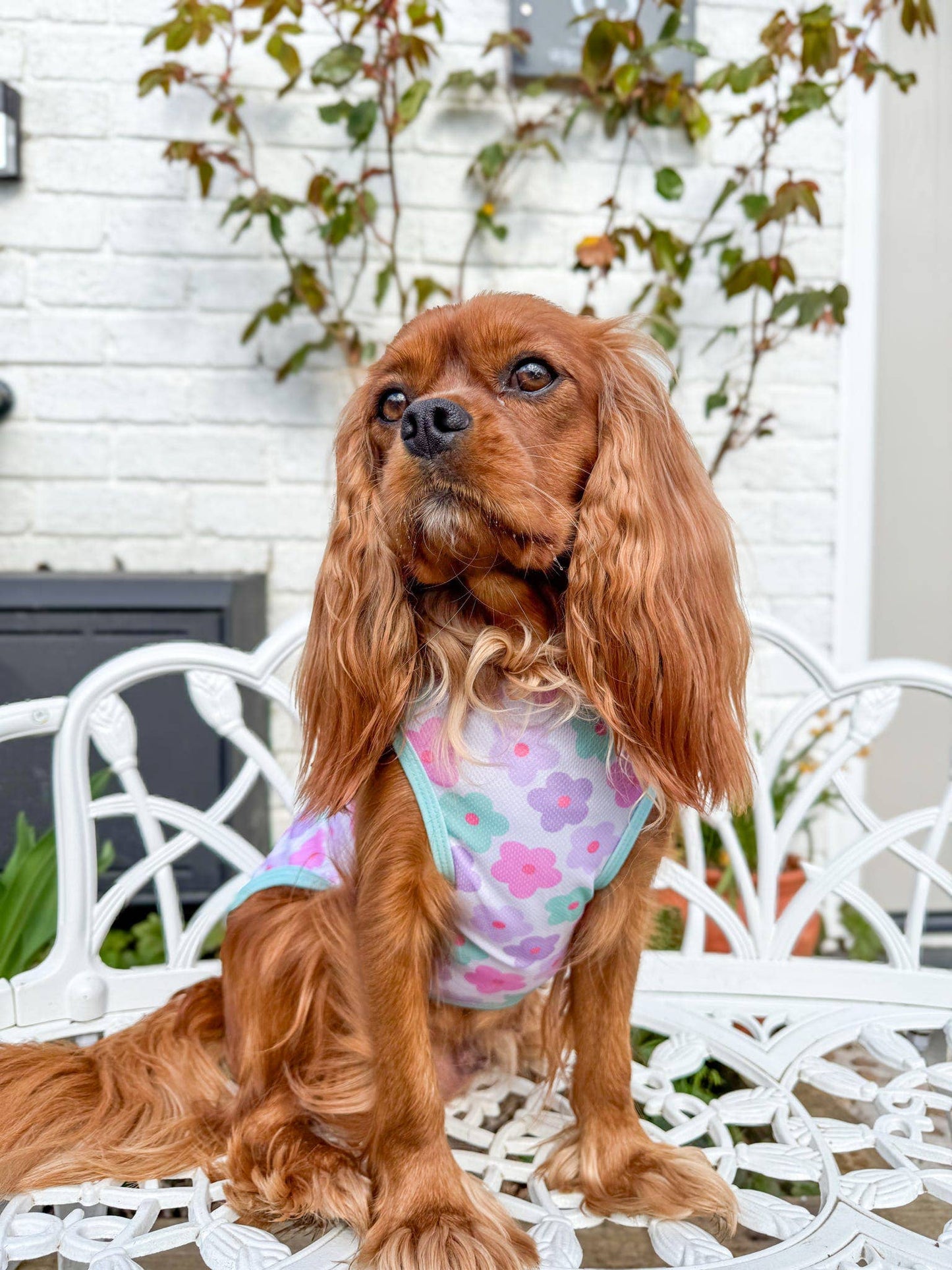 The Paw Print Boutique - The Minty Meadows / Flower Power Cooling Vest