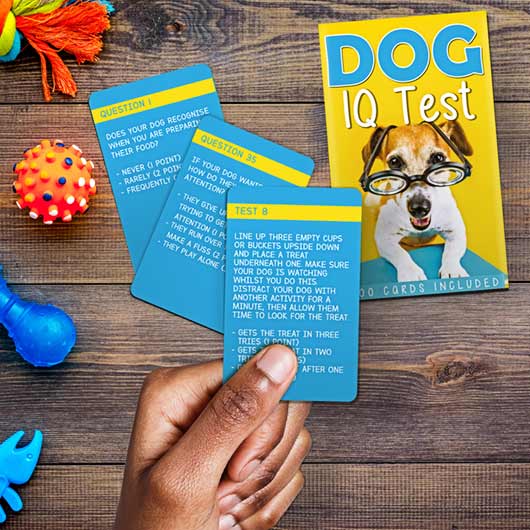 Gift Republic - Dog IQ Test