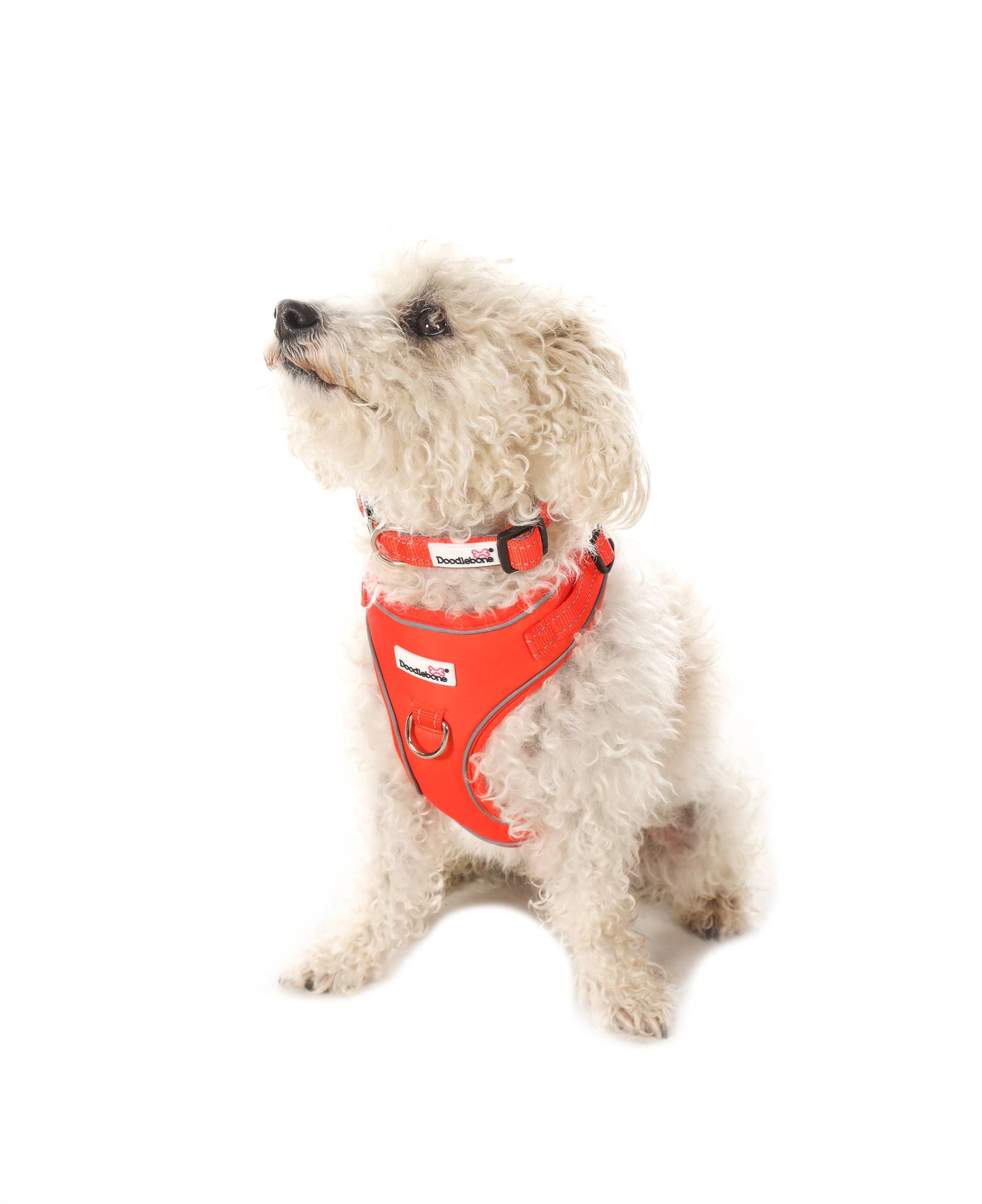 Doodlebone - Adjustable Airmesh Dog Harness