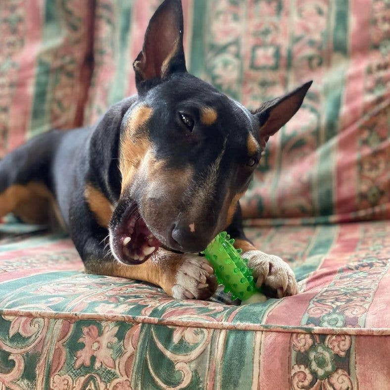 Miro & Makauri - Dog Dental Toys- 'Minty Bone'