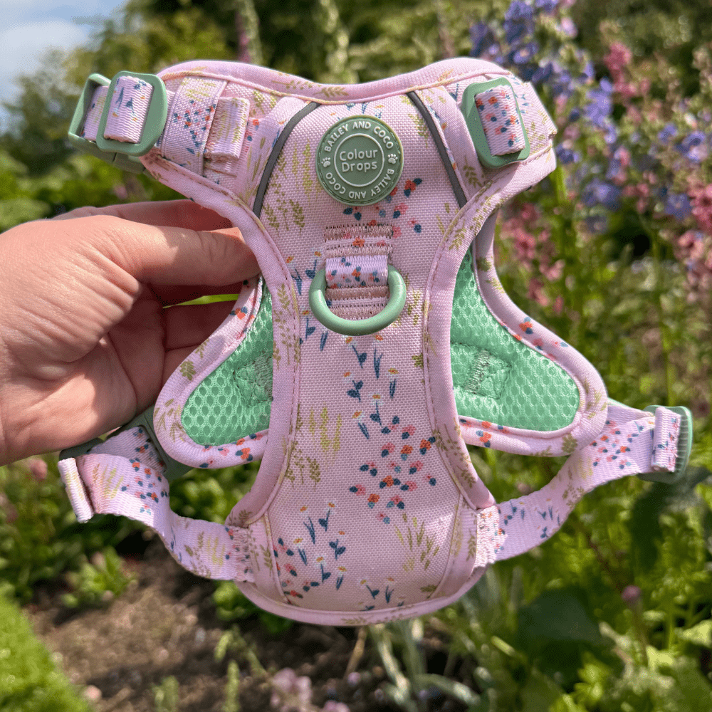 Bailey and Coco - Trail & Glow Dog Harness - COLOUR DROPS® - Pick Me