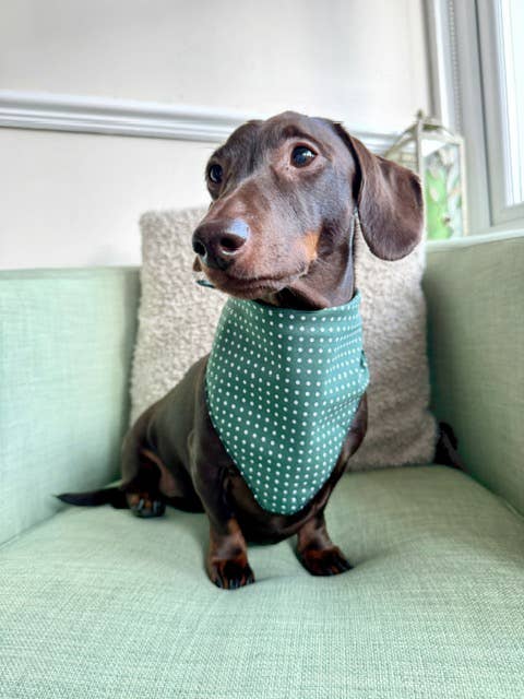 Pet Pooch Boutique - Antique Green Polka Dot Dog Bandana (classic) - Handmade