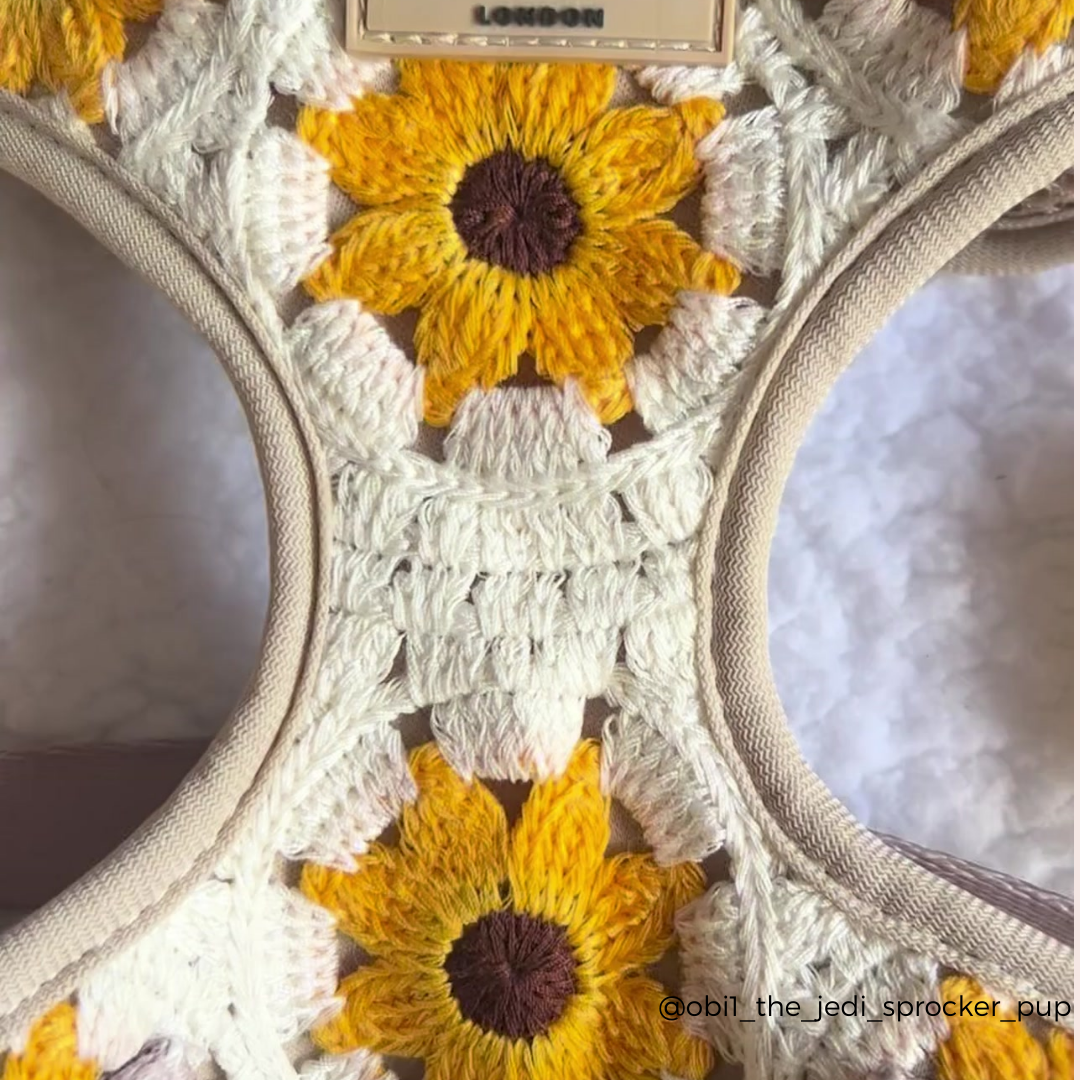 Cocopup London - Sunflower Patch Adjustable Neck Harness