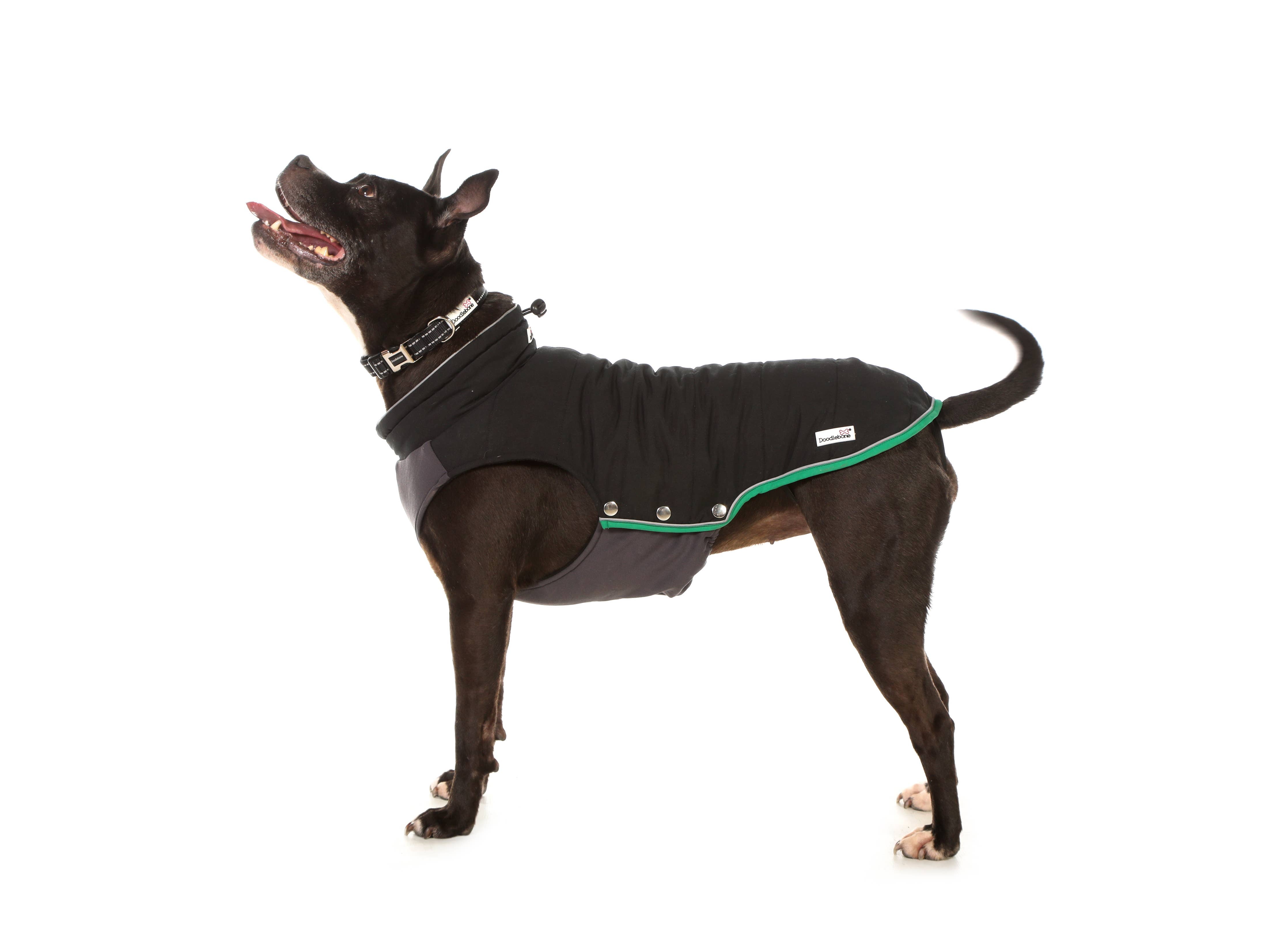Doodlebone - Dog Puffer Jackets