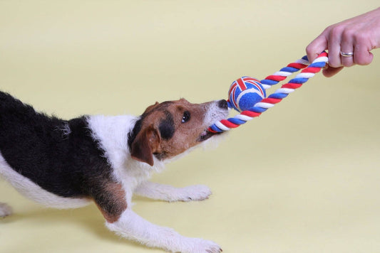 PetLondon - British Rope Ball Ring Dog Toy