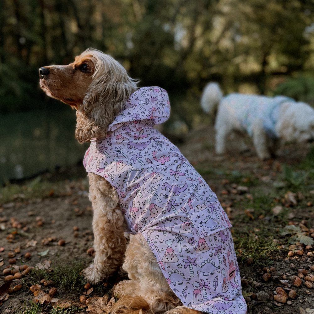 Cocopup London - Dog Raincoat - Princess Dino